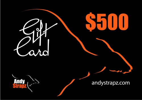 $500 Gift Voucher